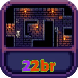 22br